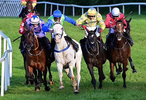 Krujers Girl (on rail) fights out the finish with The Great White