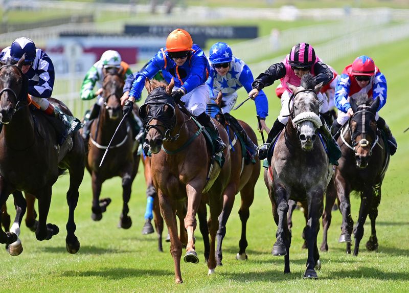 Big Gossey won for the third time at the Curragh 