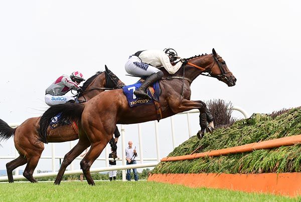Mind Your Money (Harry Swan, nearside) upstages Mighty Meggsie (Sean O'Keeffe)