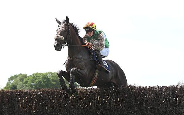A fine shot of Fly De Megaudais and Cian Quirke as they come home at their leisure in Tipperary's third event