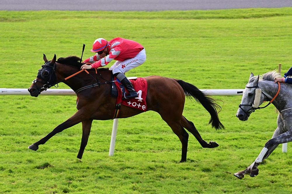 Beer With The Boys and Dylan Browne McMonagle