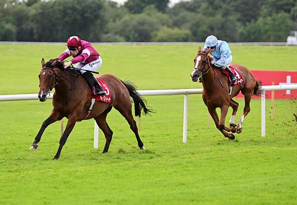 Midnight Run beats stablemate San Salvador