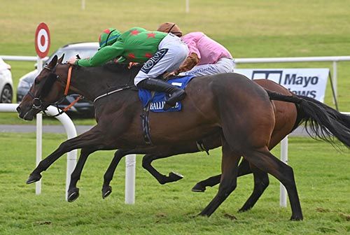 Galon De Vauzelle (nearest) gets up on the line to beat Park Hind