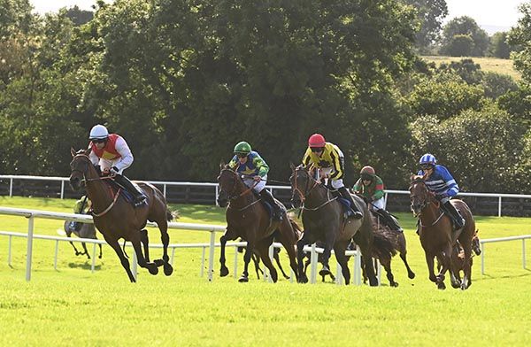 Menindee, who eventually finished third, leads approaching the straight with The Holmeister (red cap) in behind