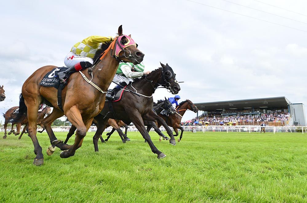 Fine Distraction just edges out Aloysius Lilius