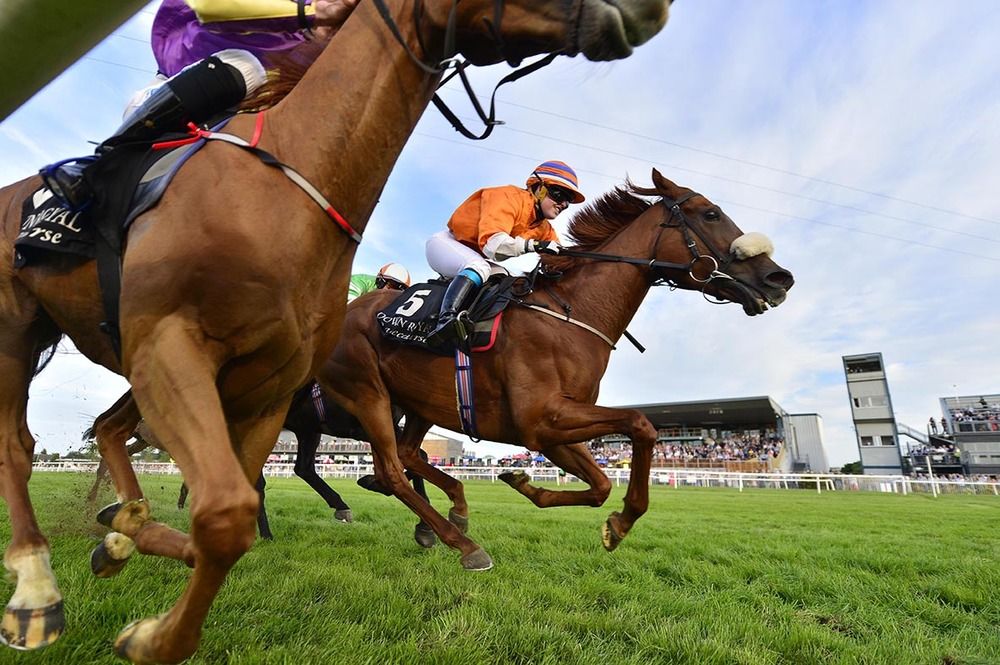 Dinamine (nearest) lost out to Five Zeroes last night