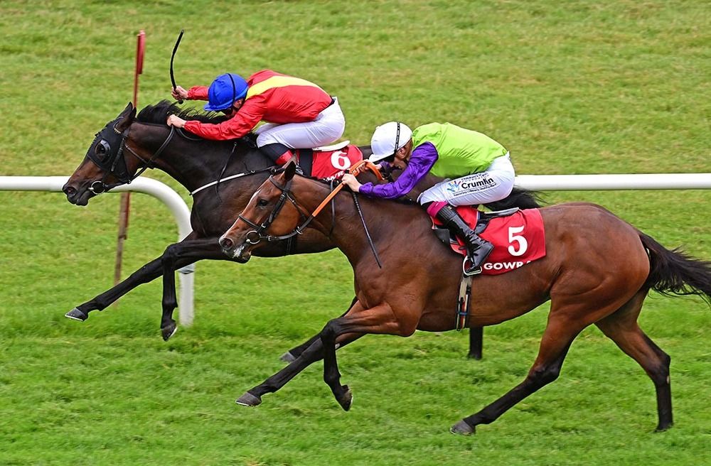 Shanghai Dragon holds off Any Dream Will Do