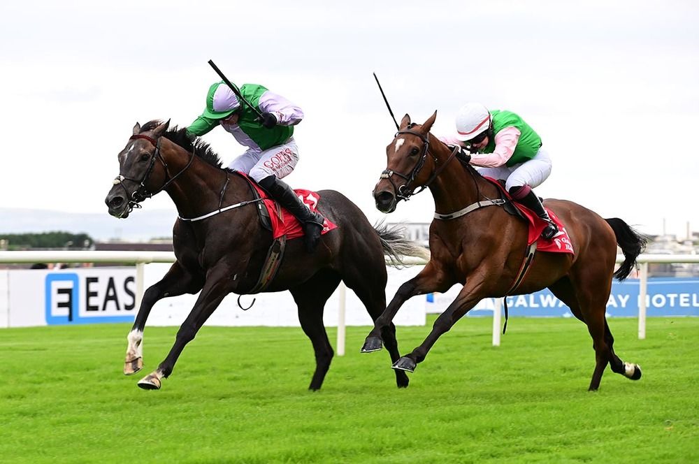 This Songisforyou (left) holds The Twelve Pins