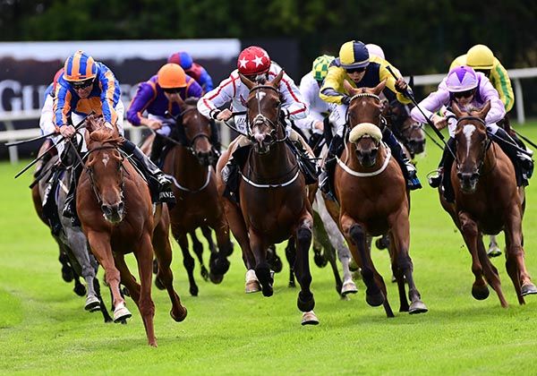 Surrounding (noseband) 