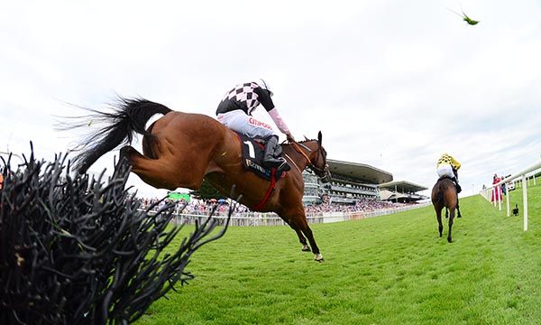 Salvador Ziggy chases down Hors Piste