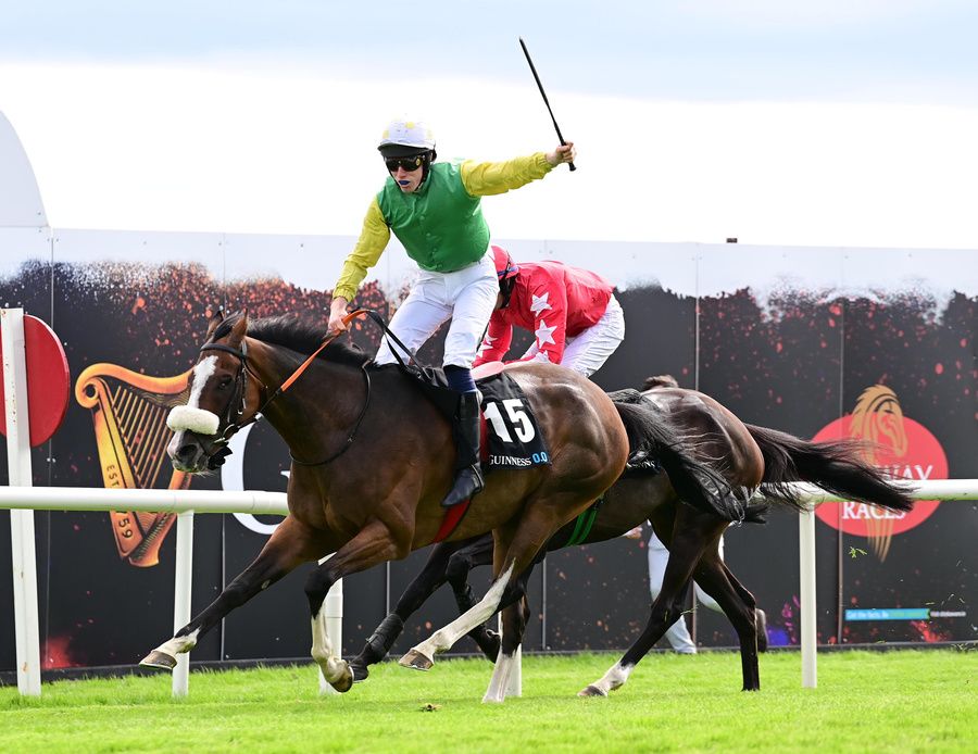 Tudor City winning the Guinness Galway Hurdle this year