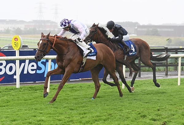 Serious Challenge has the measure of Hiawatha close home