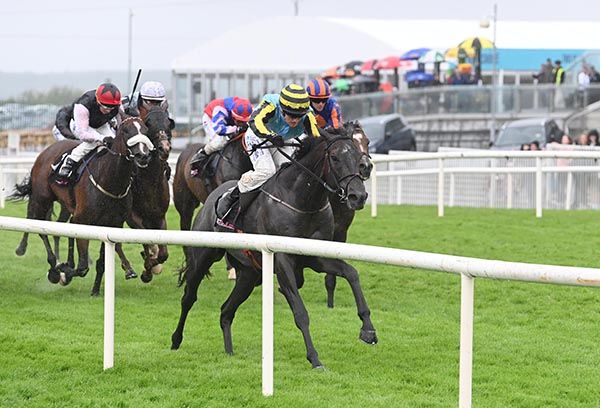 Saraqael draws clear in Ballybrit