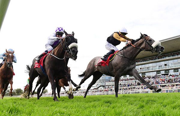 Evening's Empire wins under Chris Hayes at Galway 