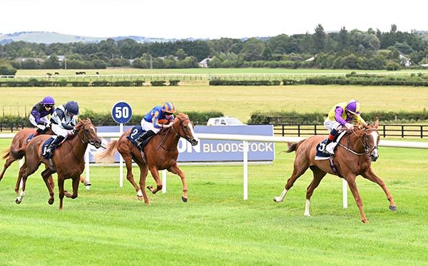 Gan Teorainn and Kevin Manning win at Naas 