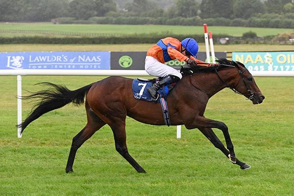 Voce Del Palio wins the Ballyhane Stakes at Naas 