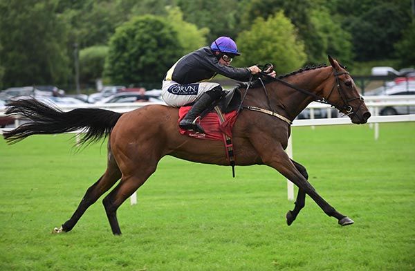 Battle Away continues to make up for lost time