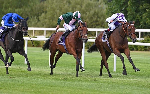 Dancila, far side, beats Safecracker, left, and Entropy 