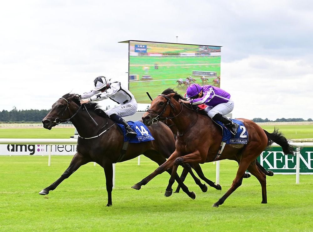 Wave Machine held on well under Ben Coen 