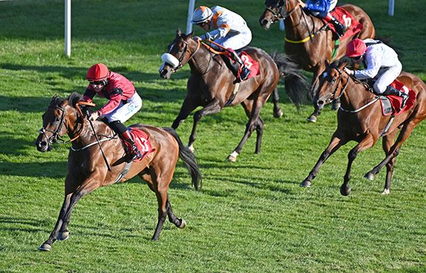 Praying Mantis and Adam Caffrey 