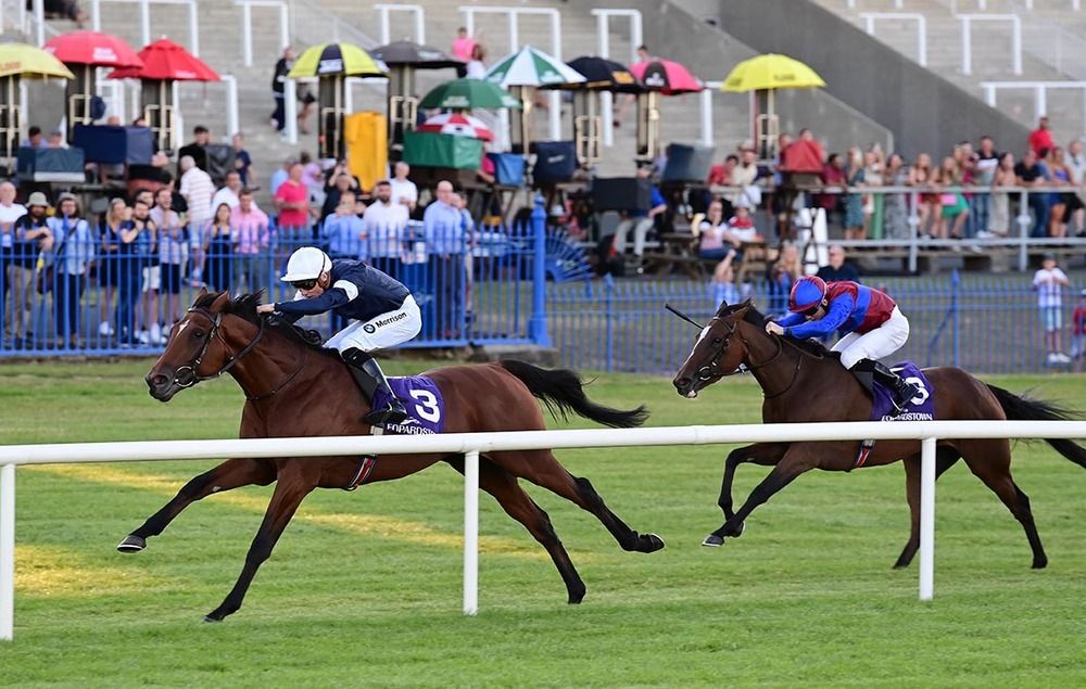 Point King looks a young stayer to keep on side 