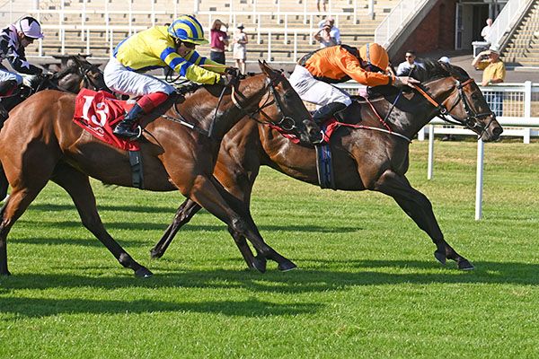 Ali Babes (orange) wins from Empress Of Bough  