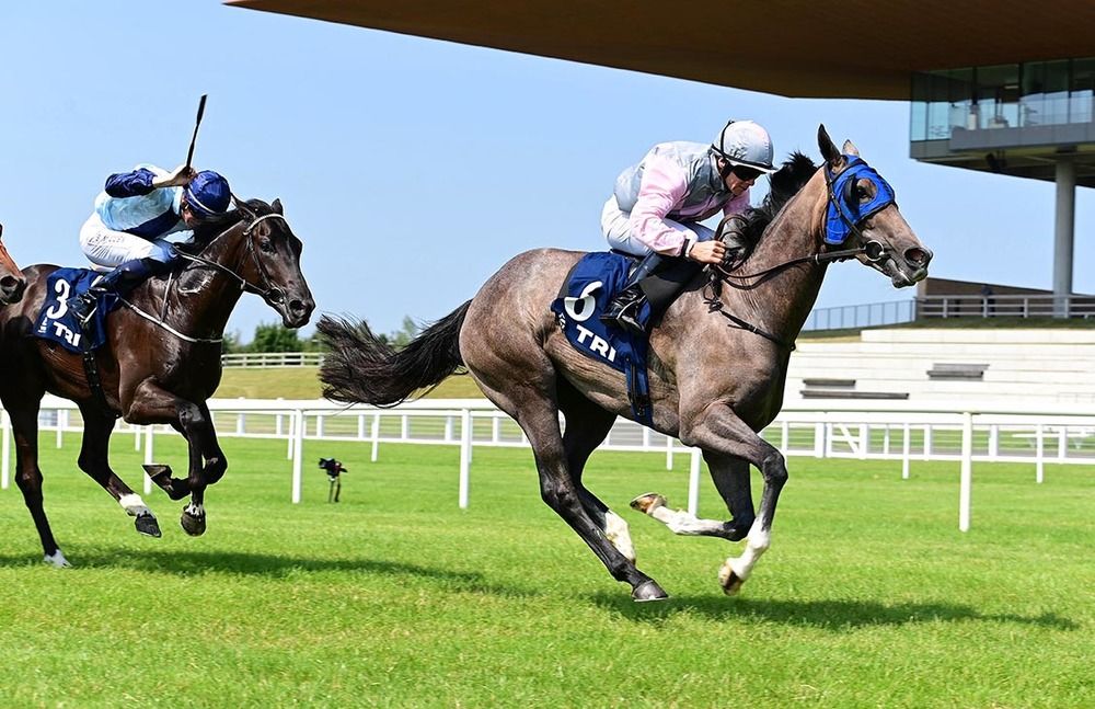 Palace Gardens delivers under Wayne Lordan