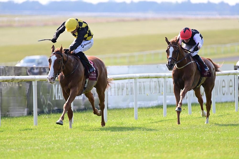 Raise You beats Search For A Song by two lengths