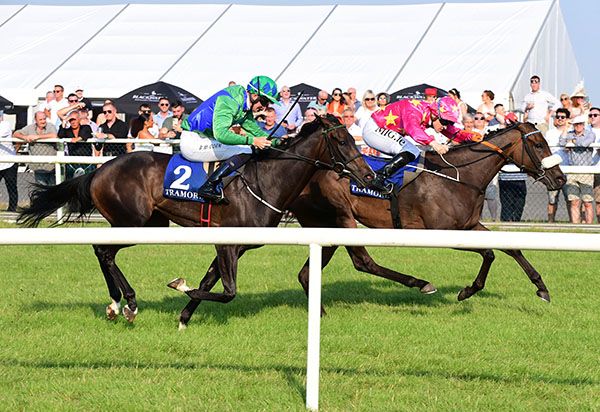 Butterfly Garden, far side, beats Lamprog