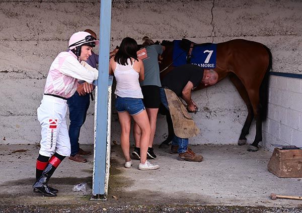 Colin Keane watches Barometer get reshod before the last race in Tramore