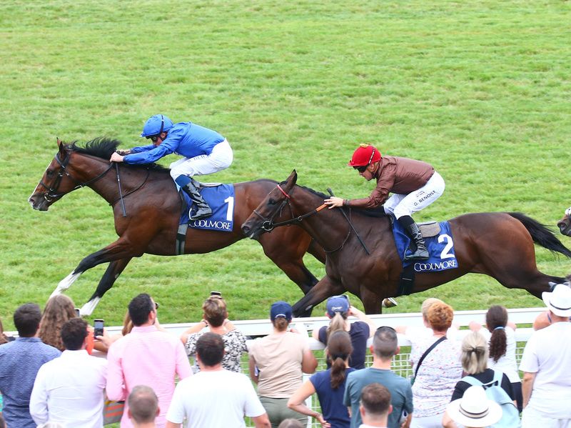 Mysterious Night seen winning at Deauville last year