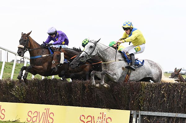 Grey Pat Coyne jumps the last in unison with Smitty Bacall, left