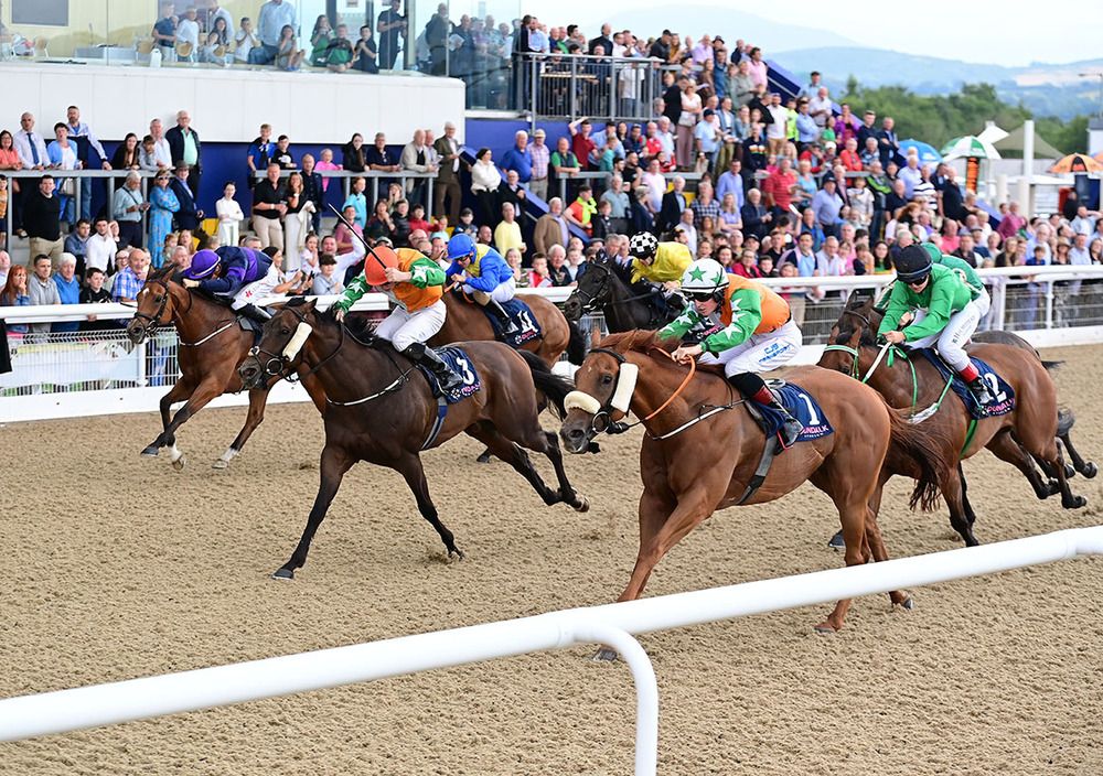 Harry's Bar (nearest) leads home stablemate Dream Today (orange cap) 