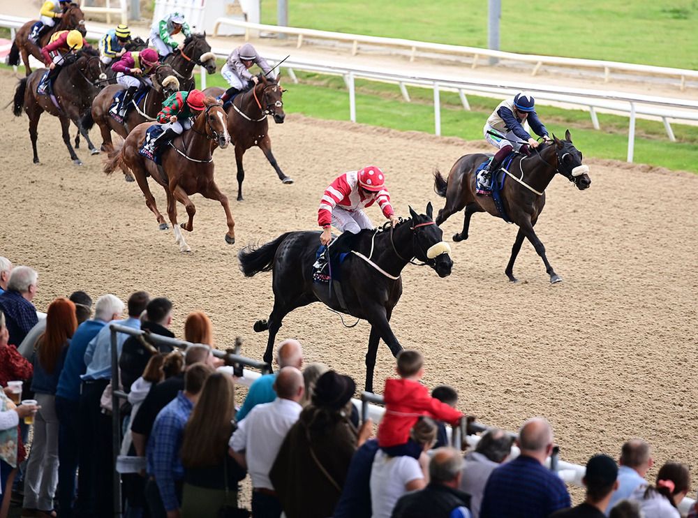 Golden Twilight (nearest) is clear in the feature 