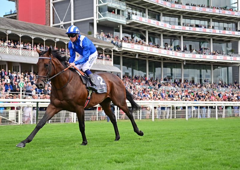 Baaeed on the way to the start for the Juddmonte International Stakes 2022
