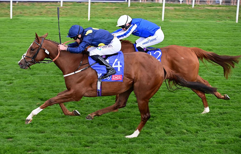 SWINGALONG and Clifford Lee win for trainer Karl Burke HEALY RACING