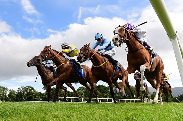 Malbay Madness (yellow & blue) comes with his effort under Wayne Lordan