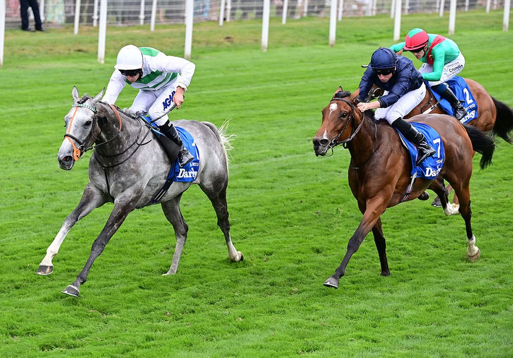 Tuesday ran a solid race in the Yorkshire Oaks 