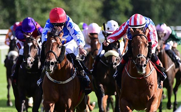 Eloquent Arthur (left) battles it out with Well Suited