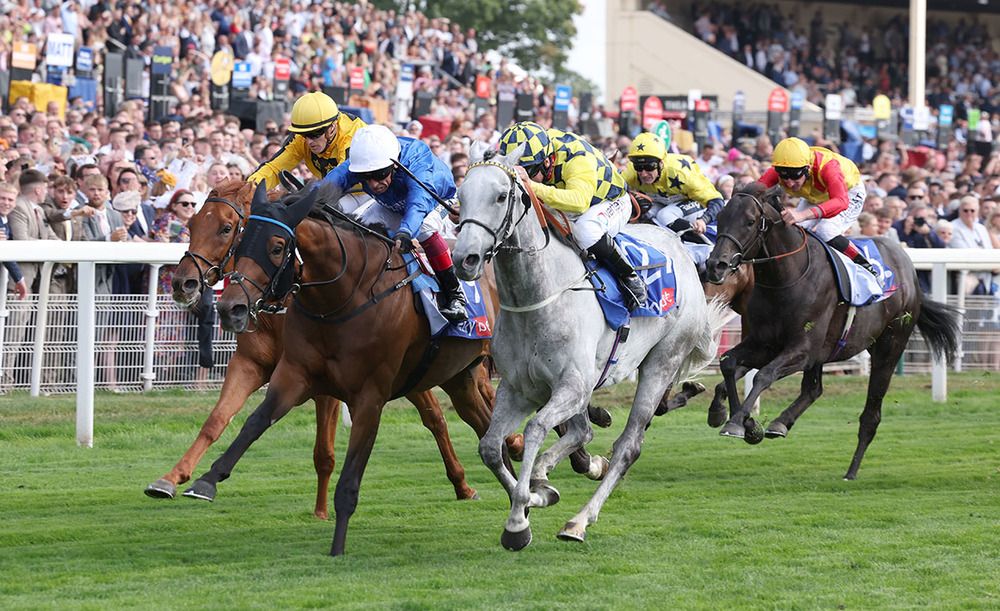 Trawlerman and Frankie Dettori (blue with white cap) 