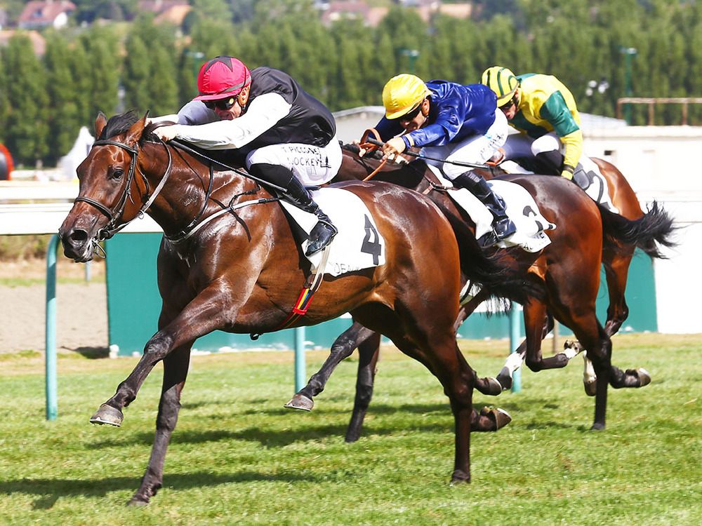 Trevaunance and Tony Piccone win the Prix de la Nonette 

