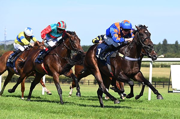 Winemaker and Gavin Ryan