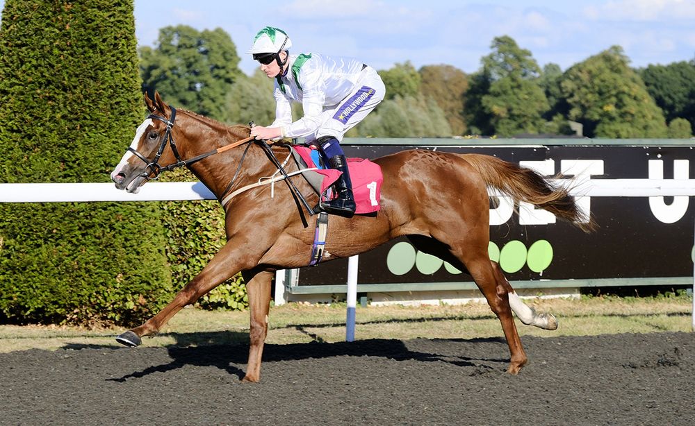 Dubai Mile and Danny Muscutt 