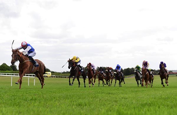 Imperial Choice is ridden clear by Billy Lee