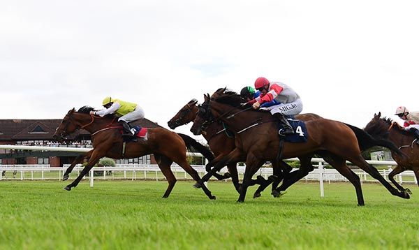 Swelltime leads home his rivals under Seamie Heffernan