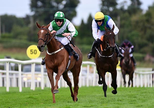 Champella stayed on well to win at Down Royal