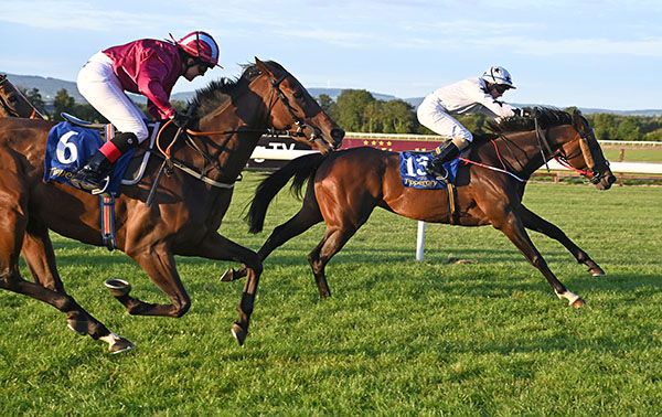 Arctic Blaze and Siobhan Rutledge win at Tipperary 