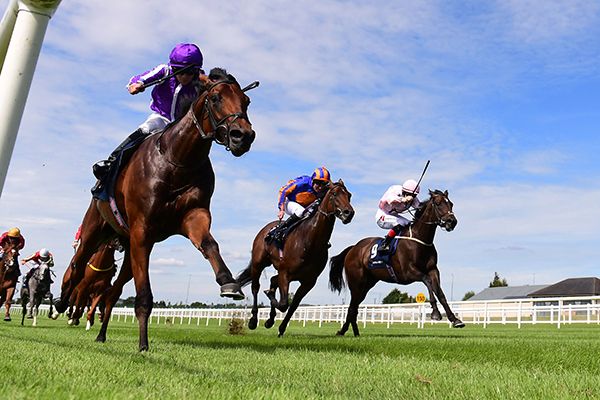 Cairo (Wayne Lordan) winning at the Curragh