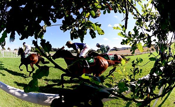Shantou Sisu (centre) is poised to pounce 