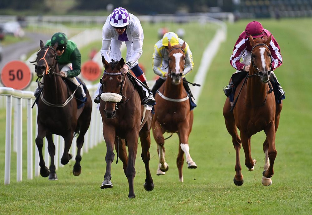Dancila (noseband) wins from Magellan Strait (right) 